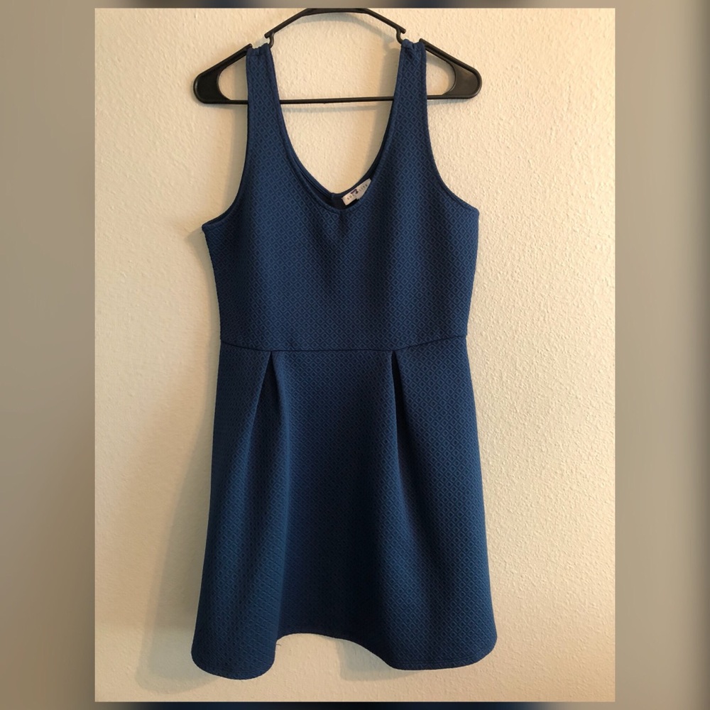 Blue fit and flare dress.